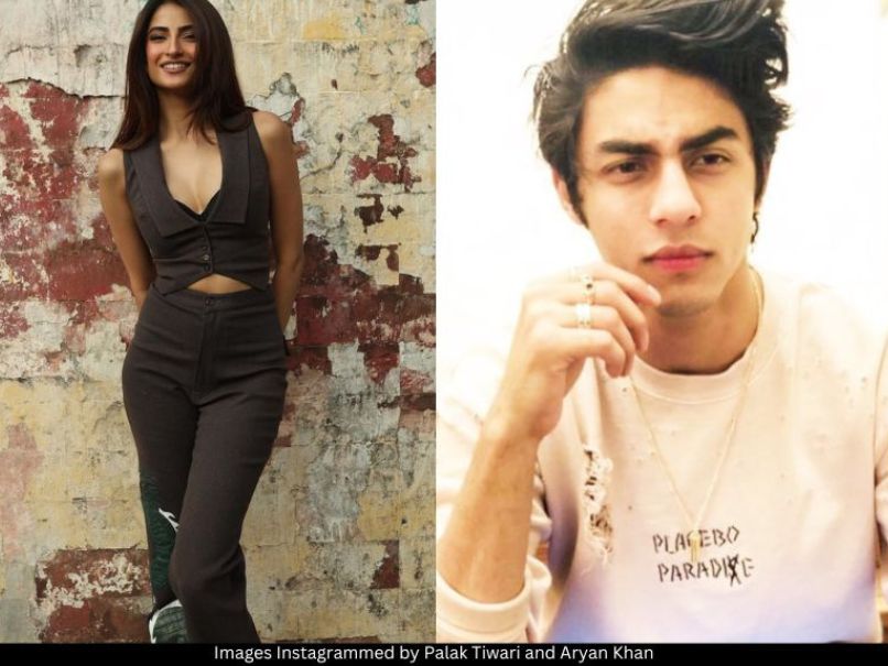 Palak Tiwari and Aryan Khan 