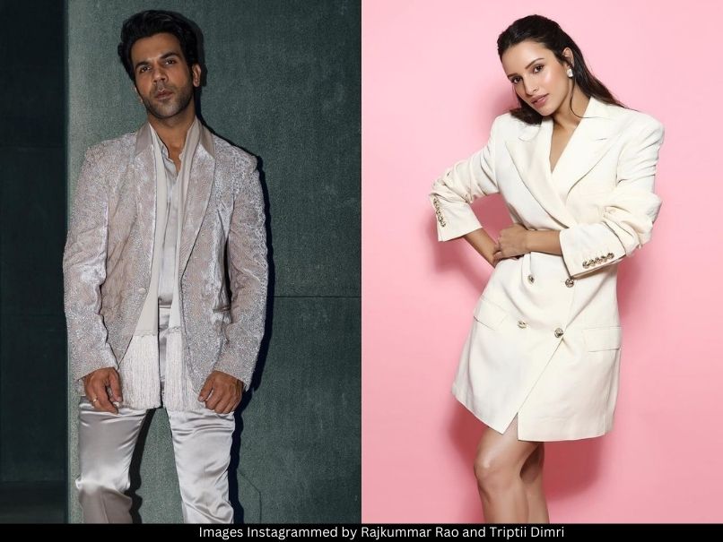 Rajkummar Rao and Triptii Dimri 