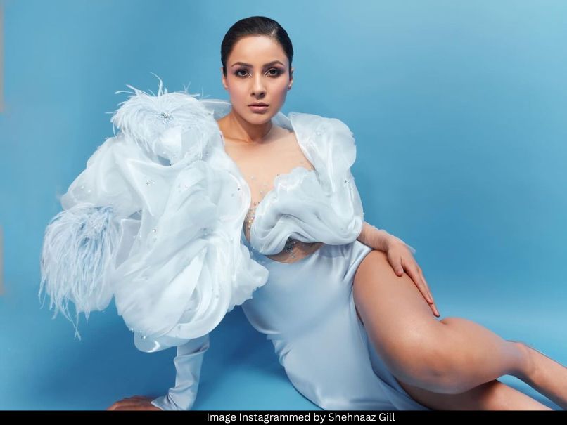 Shehnaaz Gill