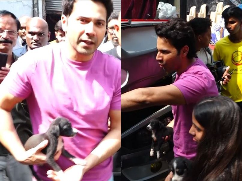 Varun Dhawan 