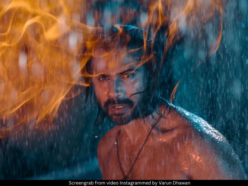 Varun Dhawan