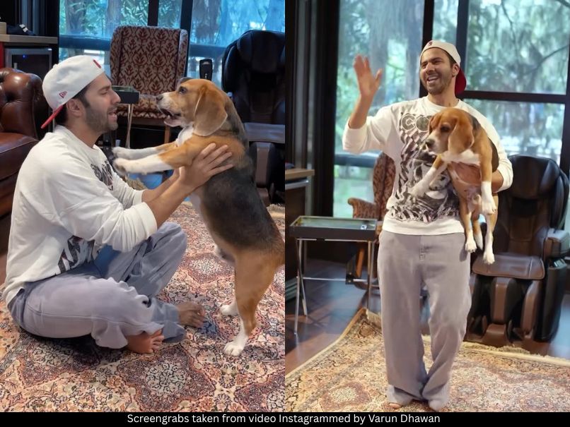 Varun Dhawan