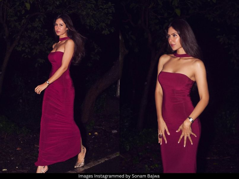 Sonam Bajwa