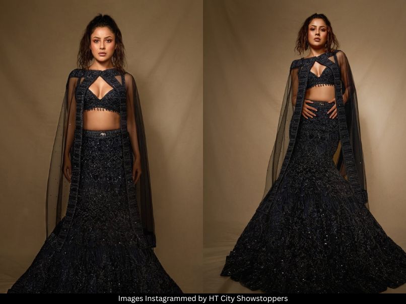 Shehnaaz Gill 