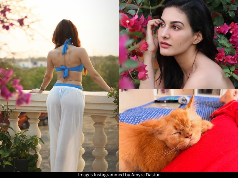 Amyra Dastur 