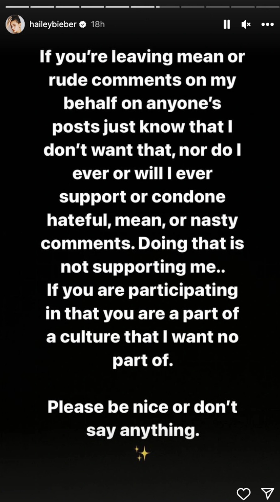 Hailey Bieber story 