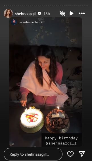 Shehnaaz Instagram