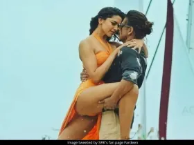 Deepika Padukone and SRK in Besharam Rang