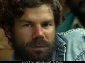 David Warner 