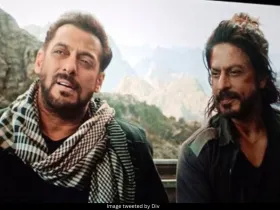 Sallu