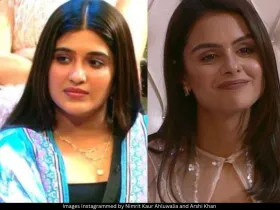 Priyanka Nimrit 