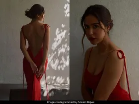 Sonam Bajwa 