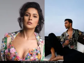 Shehnaaz Gill and Raghav Juyal 