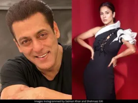 Salman Khan and Shehnaaz Gill 