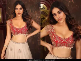 Nabha Natesh 