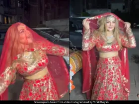 Rakhi Sawant 
