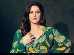 Zareen Khan 