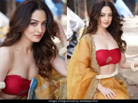 Sandeepa Dhar