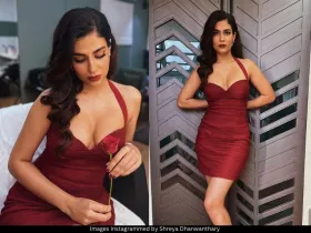 Shreya Dhanwanthary