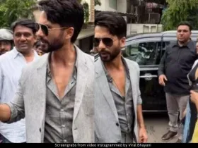 Shahid Kapoor 