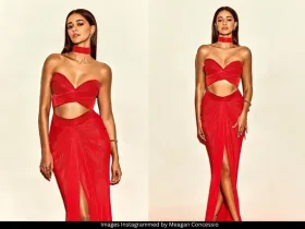 Ananya Panday 