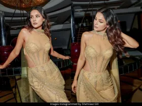 Shehnaaz Gill 