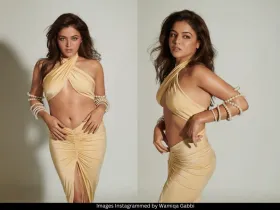 Wamiqa Gabbi