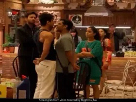 Bigg Boss fight 