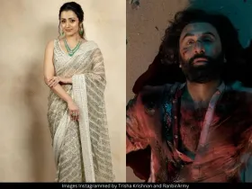 Trisha and Ranbir 