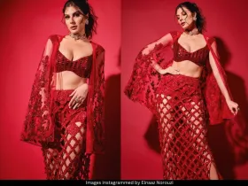 Elnaaz 