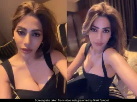 Nikki Tamboli 