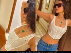 Ameesha Patel 