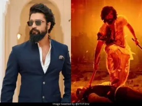 Vicky Kaushal and Ranbir Kapoor 