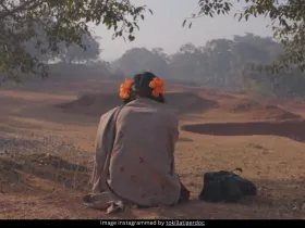 To Kill A Tiger 