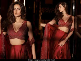 Palak Tiwari 