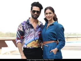 Mrunal Thakur and Shahid Kapoor 