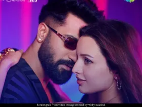 Vicky Kaushal and Triptii Dimri 