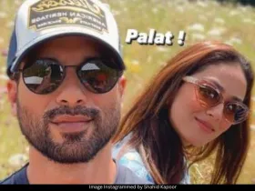 Shahid Kapoor and Mira Rajput 