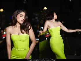 Sharvari Wagh 