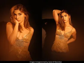Saiee Manjrekar