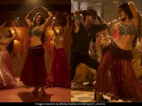 Disha Patani Shahid Kapoor