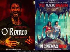 O Romeo Tu Yaa Main posters 