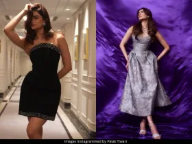 Palak Tiwari