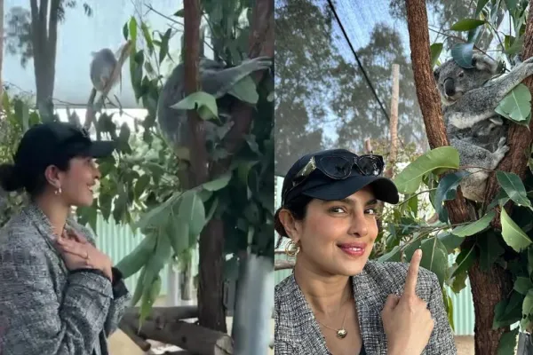 Priyanka Chopra koala 