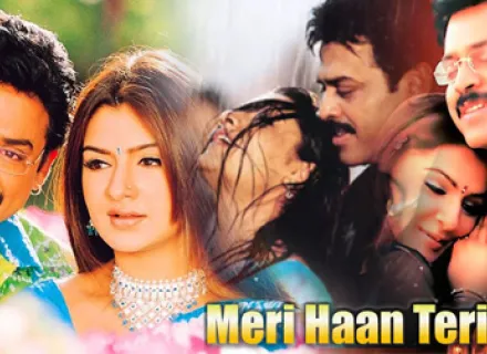 MERI HAAN TERI NAA