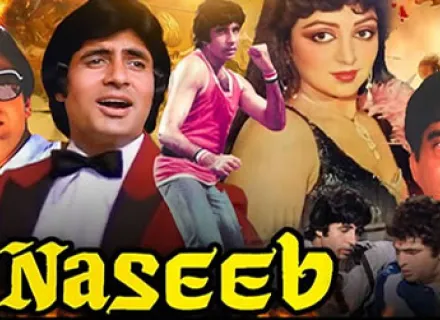 NASEEB